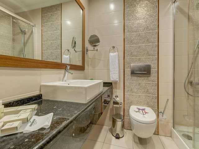 Standard Room, Mountainside