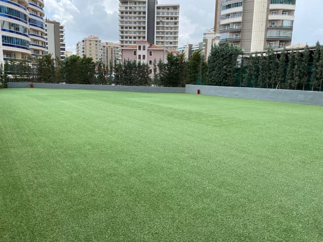 Superior Room, 1 Queen Bed with Sofa bed