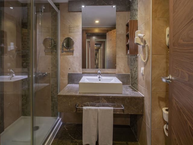 ADVANTAGE FRENCH ROOM WITH BOSPHORUS VIEW