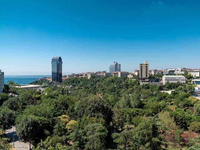 Deluxe Room, 1 King Bed