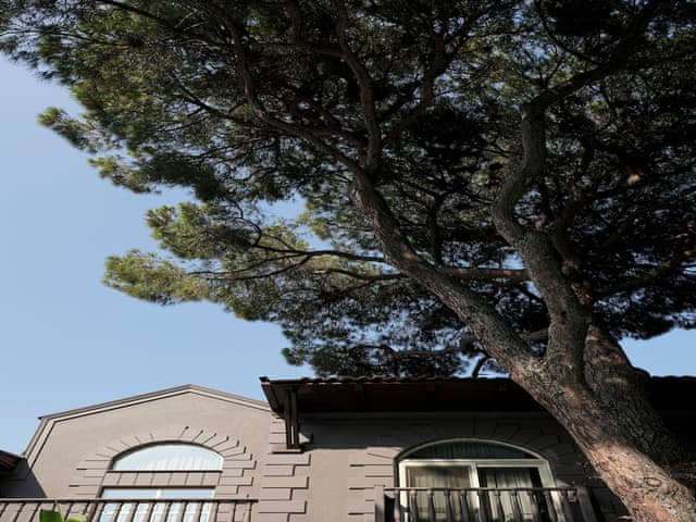 Albatross Deluxe Villa