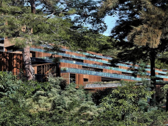 Royal Suite Family Garden