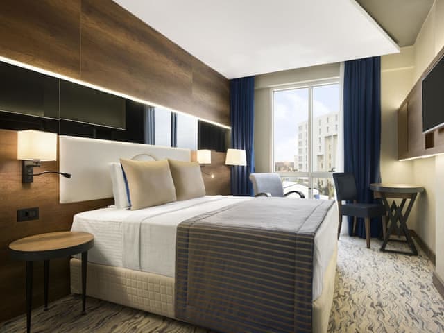 Room, 1 King Bed, Smoking