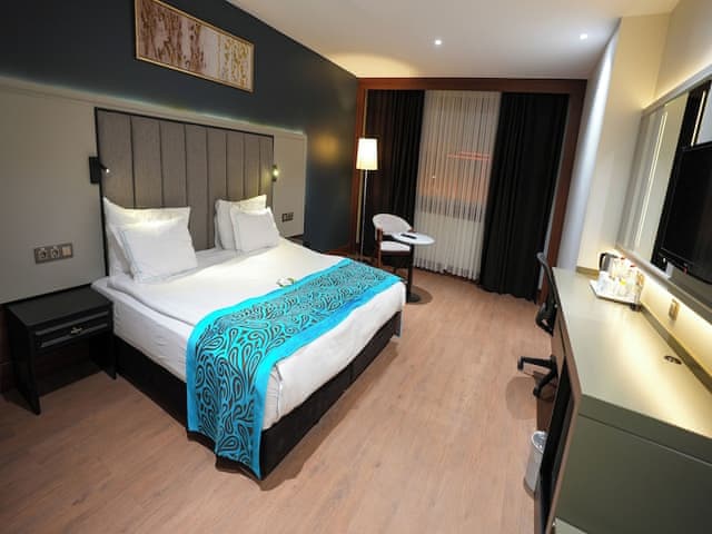 Standard French Room