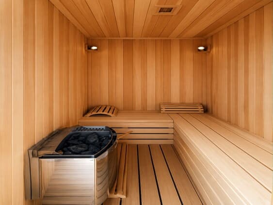 Suite With a Sauna