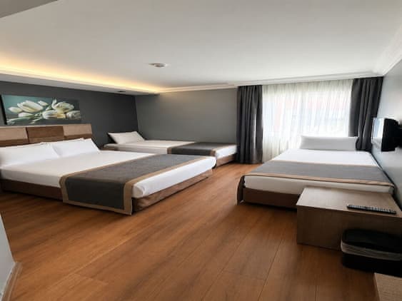 Triple Room, City View