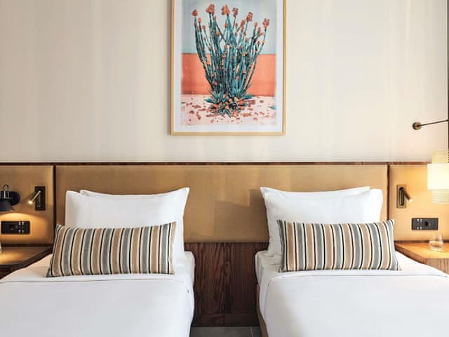 Twin Room, Pool View (General Admission)