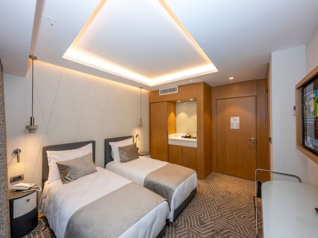 Delüks İki Yataklı Oda