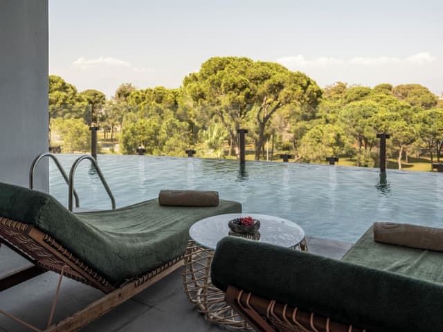 Deluxe swim up forest view