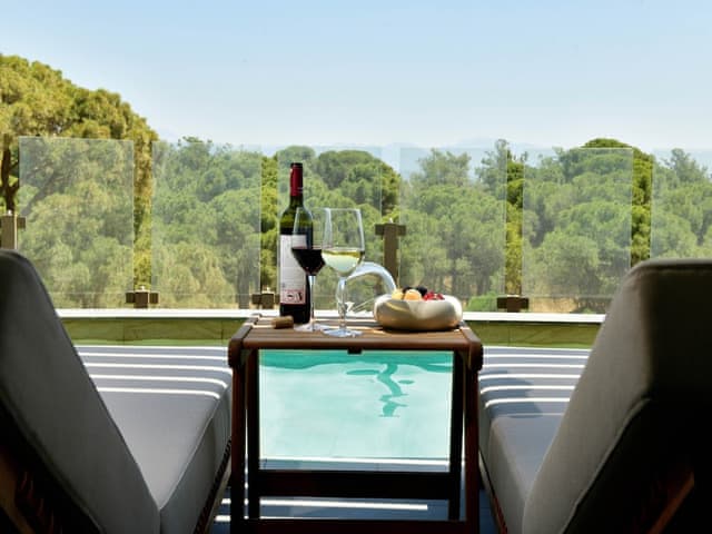 Corner Swimup Suite Forest View