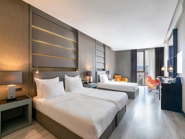 Delüks İki Yataklı Oda