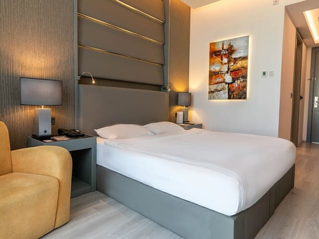 Superior French Room