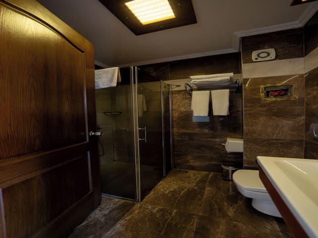 Standard Room, Mountain View