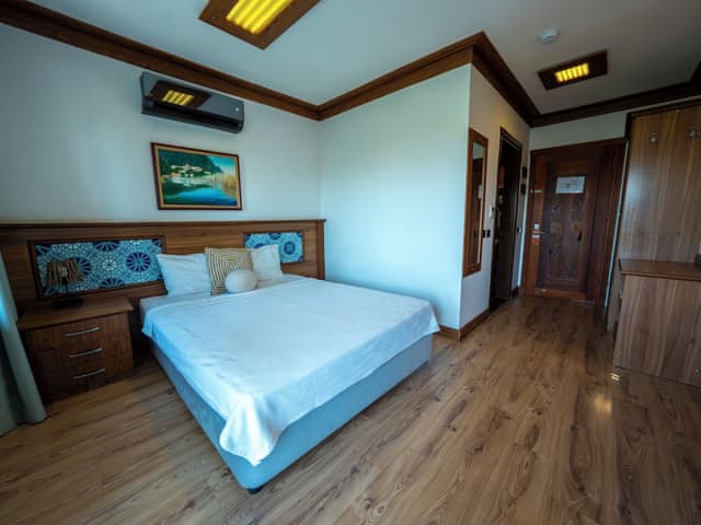 Standard Room, Mountain View