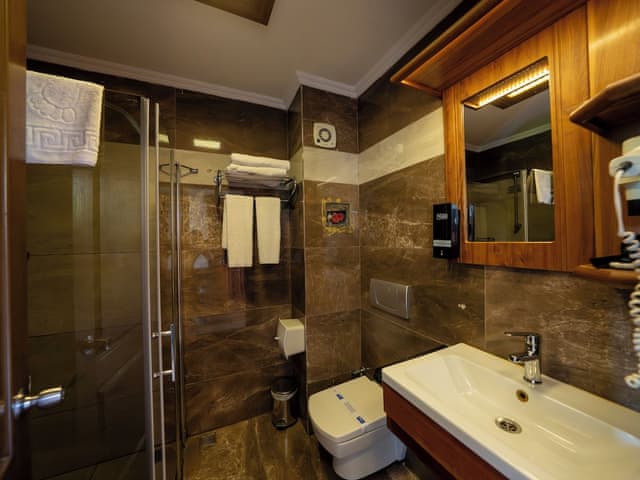 Standard Room, Mountain View