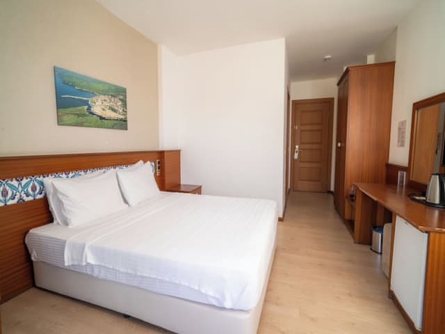 Standard Room, Mountain View