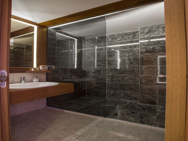 Standard Room, Mountain View