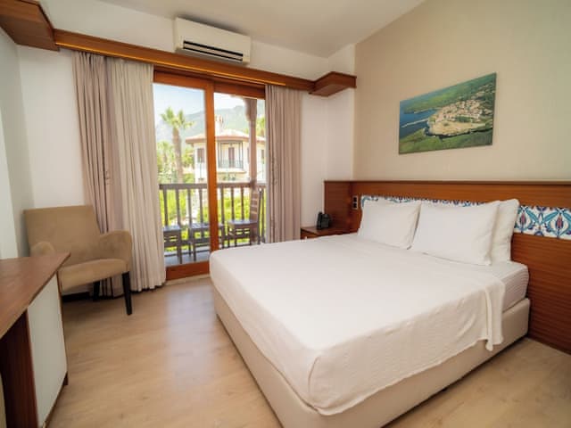 Standard Room, Mountain View