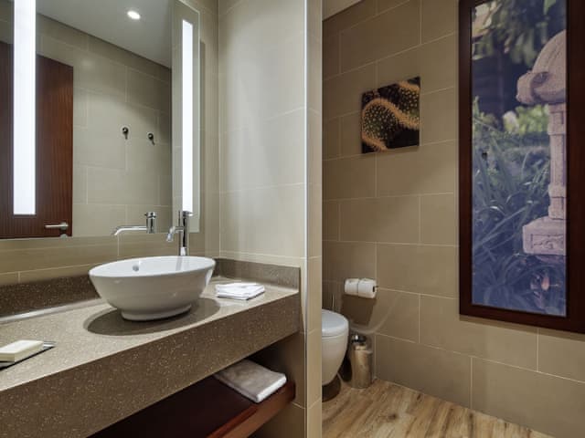 Room, 1 Queen Bed, Accessible