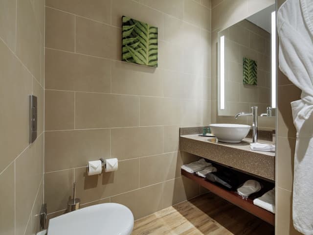 Room, 1 Queen Bed, Accessible