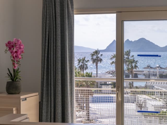 Superior Room, Pool View