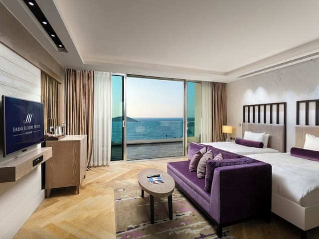 Executive Two Bedroom Suite