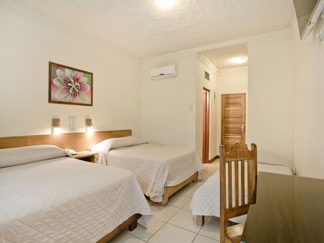 Standard Room (2 doubles + 1 twin)
