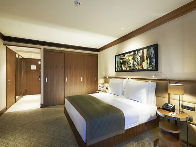 Superior Çift Kişilik Oda, 1 King Yataklı