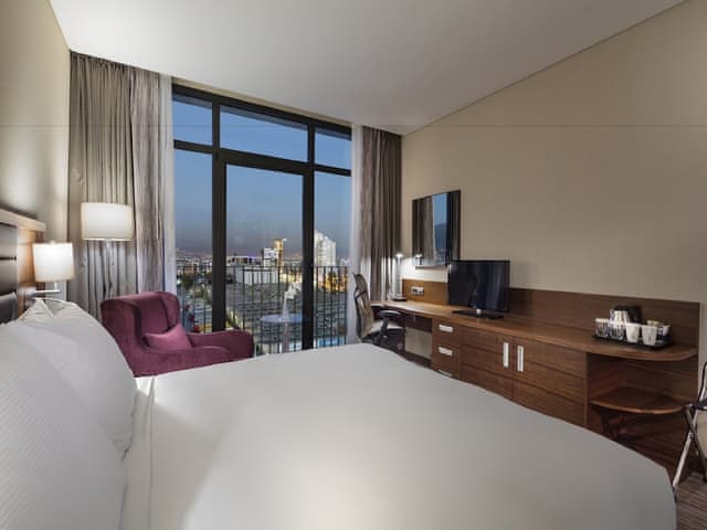 Room, 1 King Bed