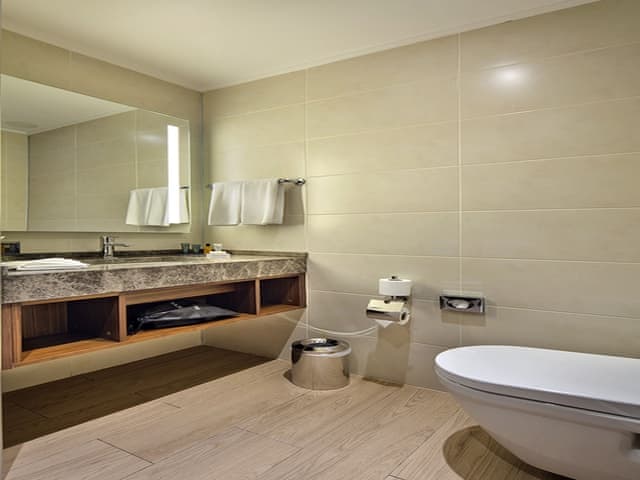 Room, 1 King Bed