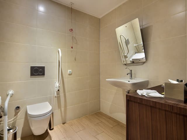 Room, 1 Queen Bed, Accessible