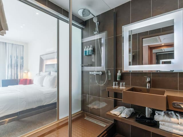 Superior Room, 1 Queen Bed with Sofa bed