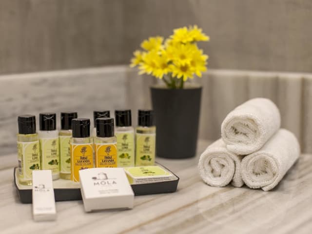 Deluxe Room, Garden Area