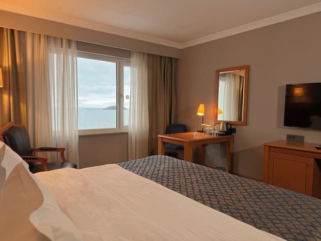 Business Room, 1 Double Bed, Sea View