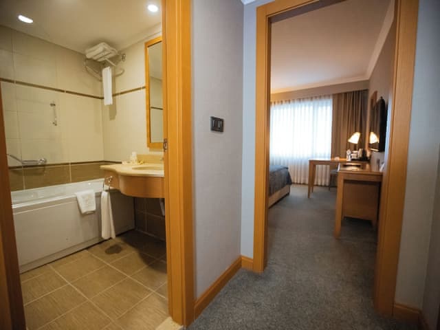 Business Room, 1 Double Bed, Sea View