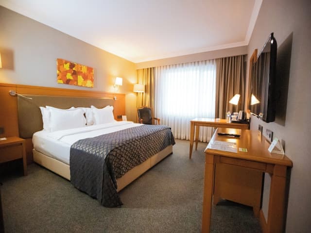 Business Room, 1 Double Bed, Sea View