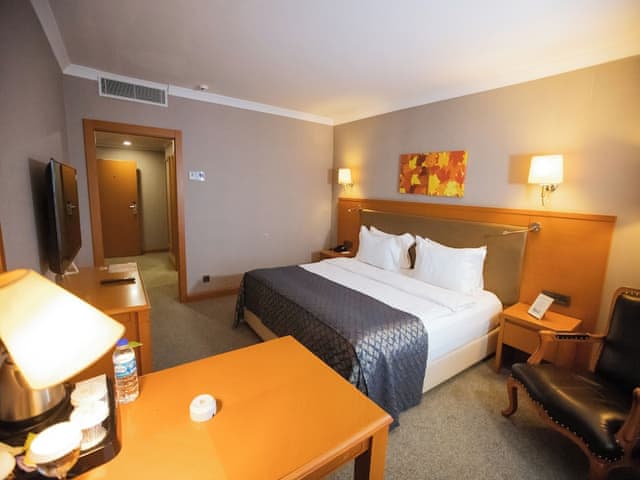 Business Room, 1 Double Bed, Sea View