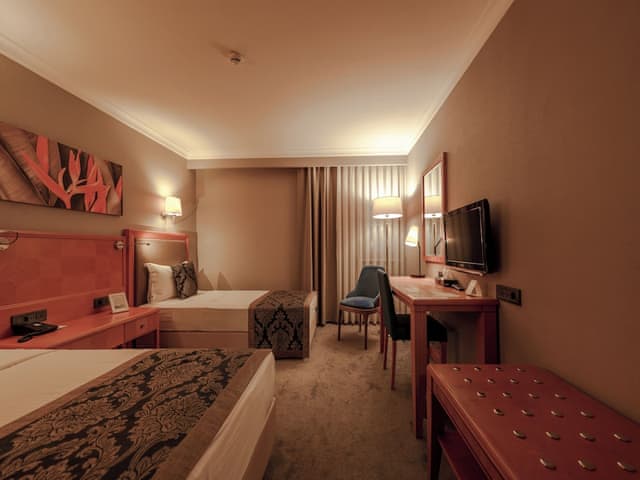 Room, 2 Twin Beds, Accessible