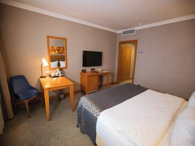 Business Room, 1 Double Bed, Sea View