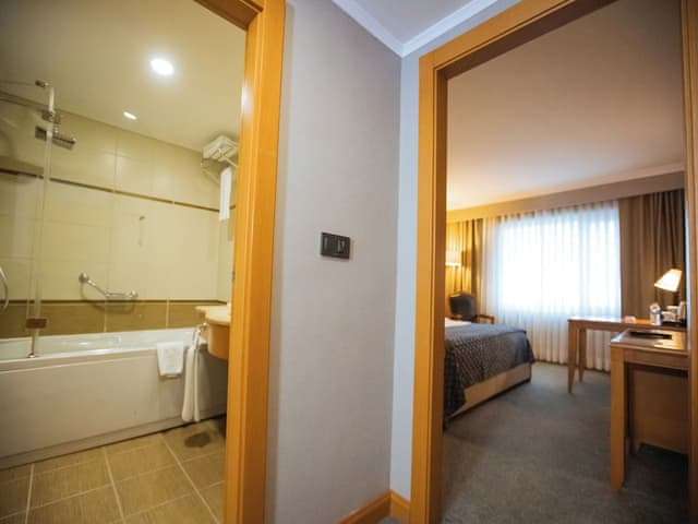Business Room, 1 Double Bed, Sea View