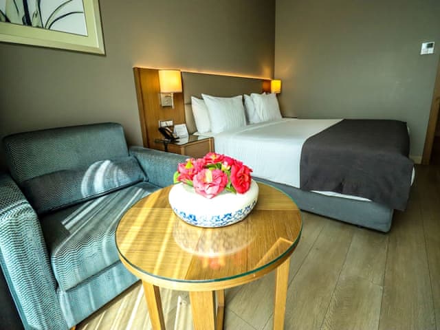 Premium Room, 1 Queen Bed with Sofa bed, Balcony
