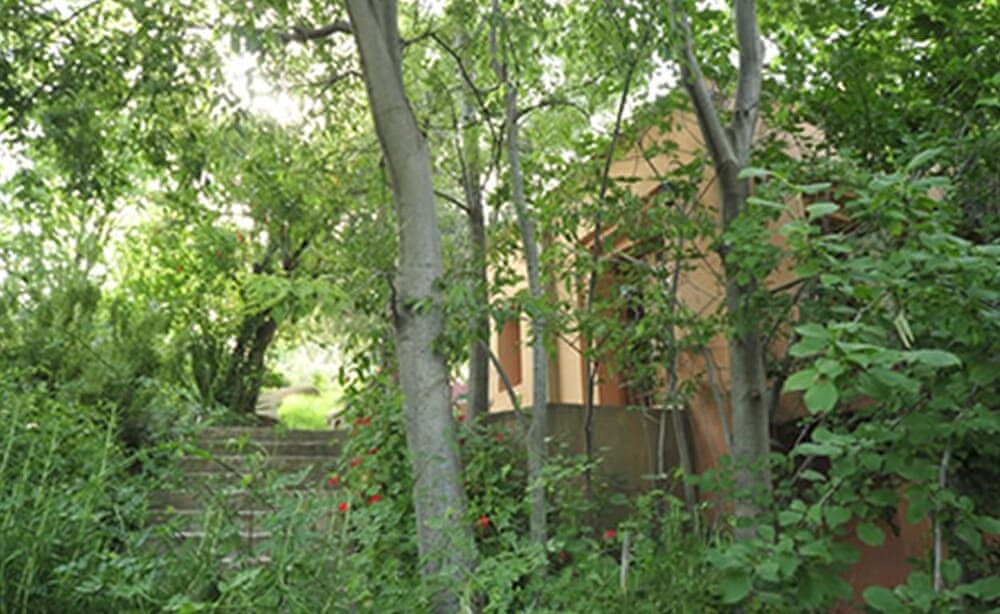 Photo 25