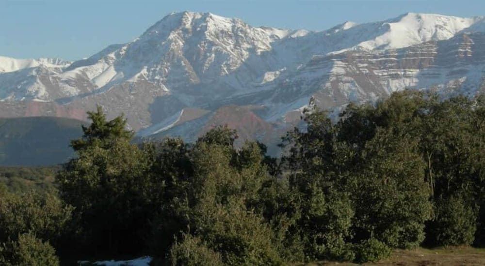 Photo 47