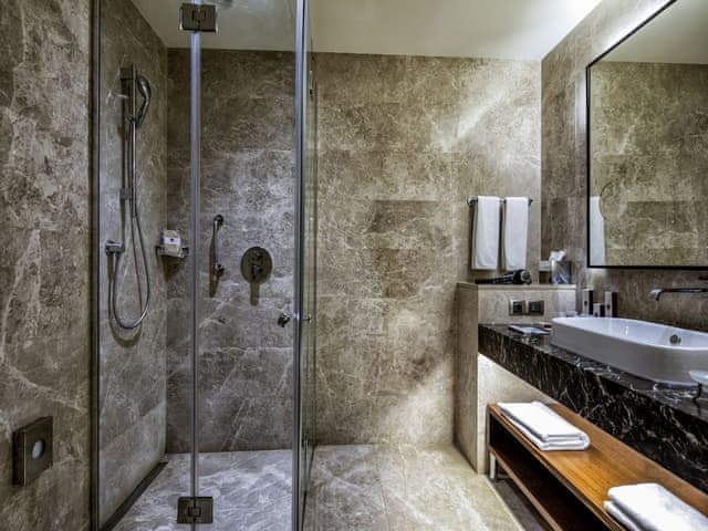 Standard Double Room, Atrium View