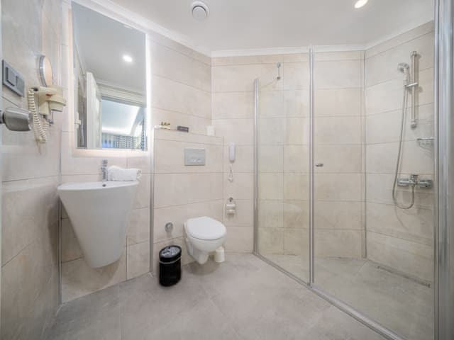 Standard Double or Twin Room, Mountain View