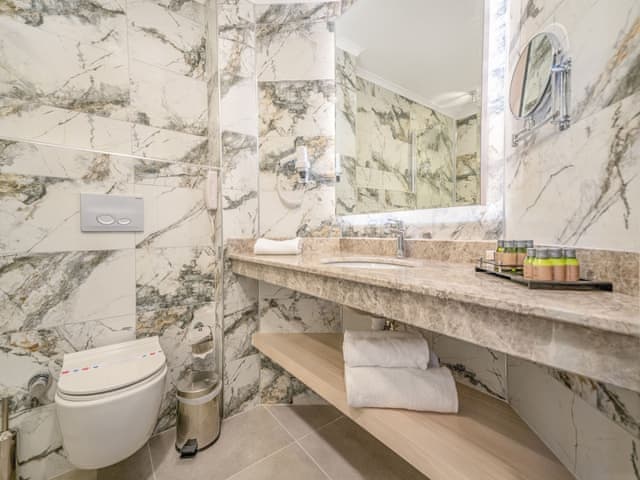 Standard Double or Twin Room, Mountain View