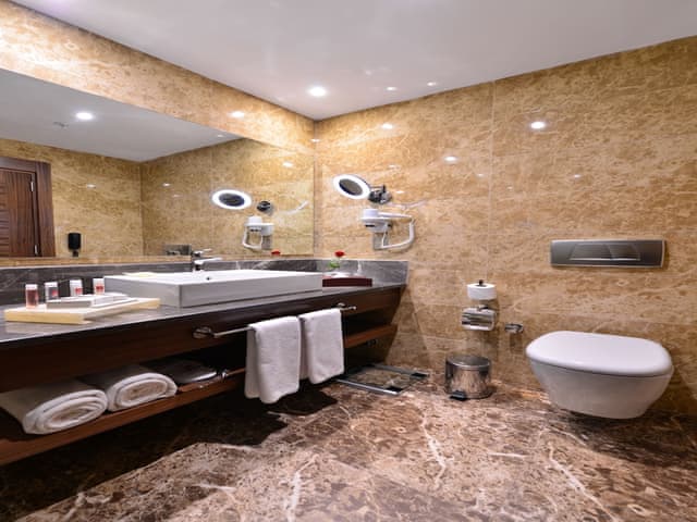 1 Double Bed, 1 Single Sofa Bed