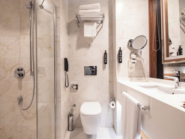 Delüks İki Yataklı Oda