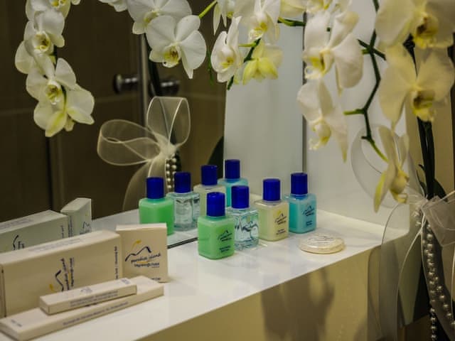 Superior İki Yataklı Oda