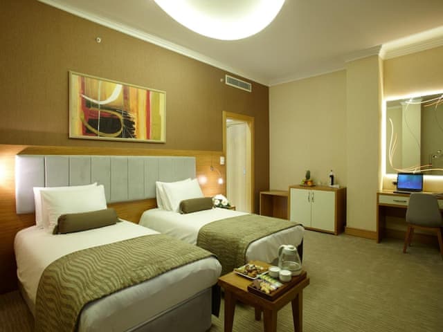 Executive Çift Kişilik veya İki Tek Kişilik Yataklı Oda